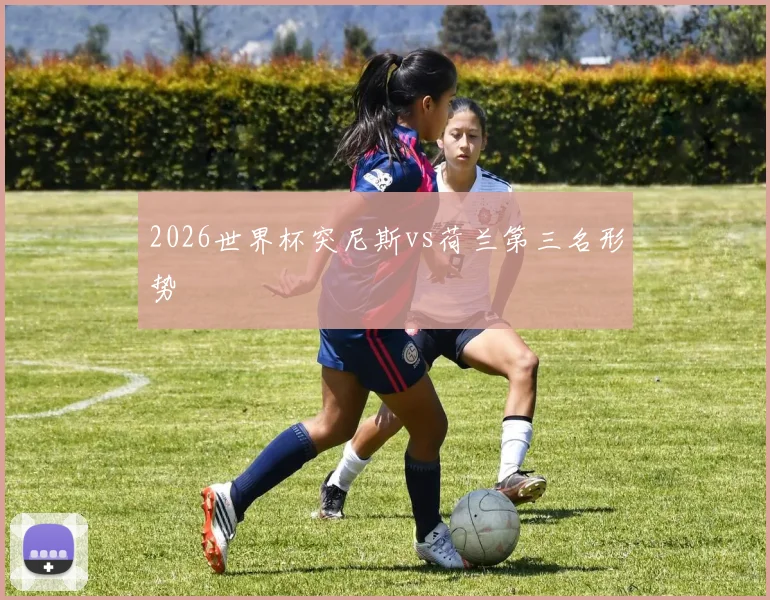 2026世界杯突尼斯vs荷兰第三名形势