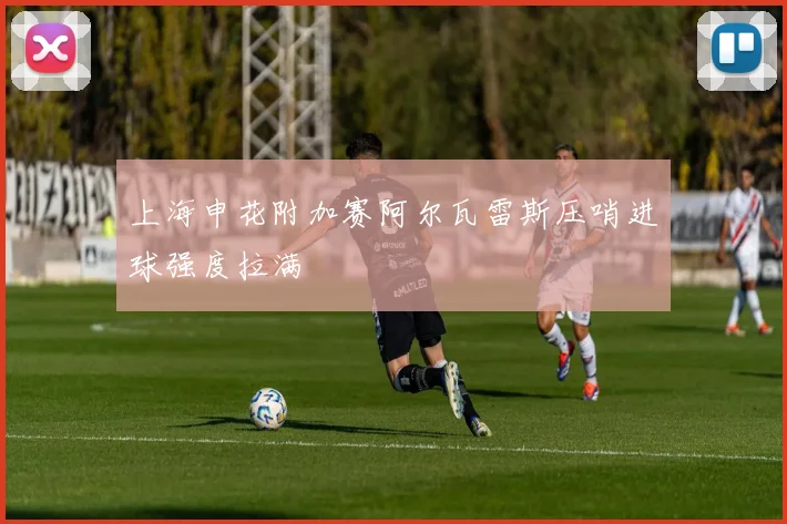 上海申花附加赛阿尔瓦雷斯压哨进球强度拉满