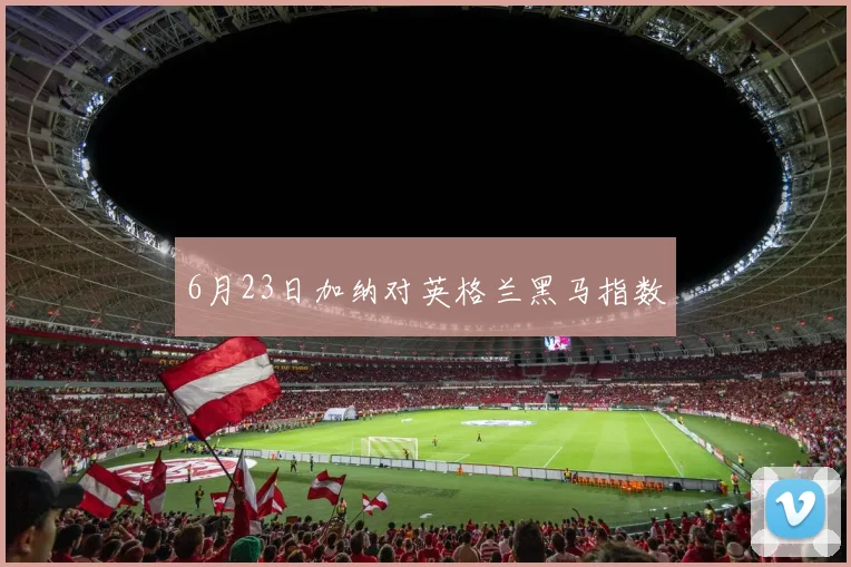 6月23日加纳对英格兰黑马指数
