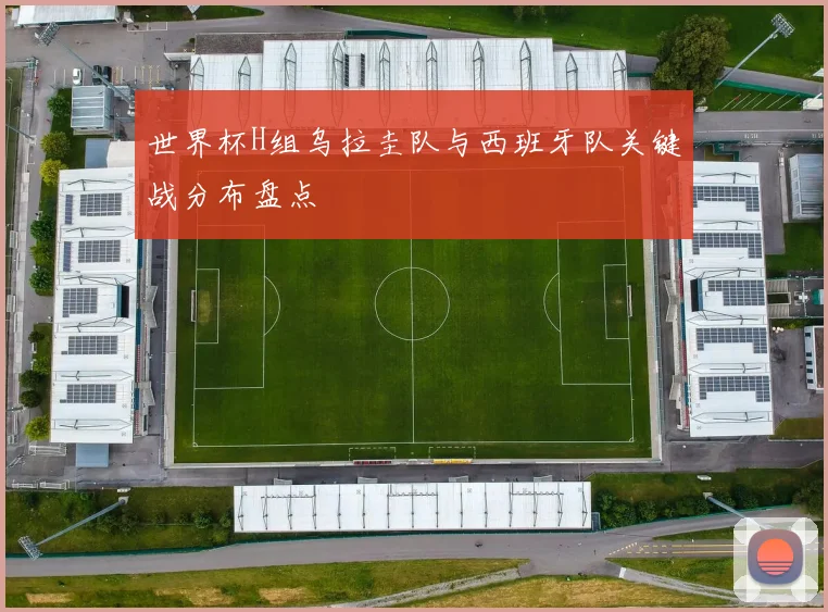 世界杯H组乌拉圭队与西班牙队关键战分布盘点